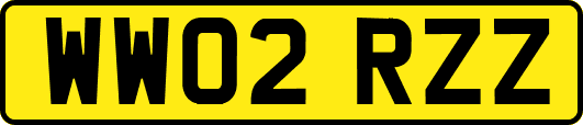 WW02RZZ