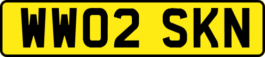 WW02SKN