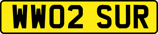 WW02SUR