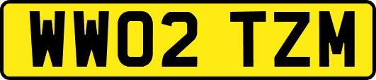 WW02TZM