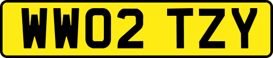 WW02TZY