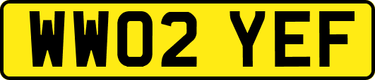 WW02YEF