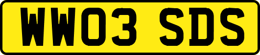 WW03SDS