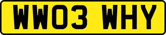 WW03WHY