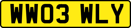 WW03WLY