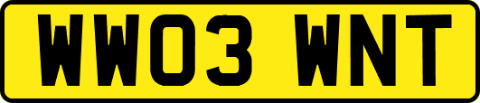 WW03WNT