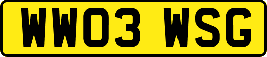 WW03WSG