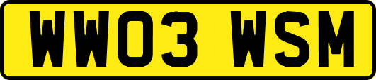 WW03WSM