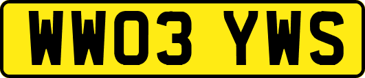 WW03YWS