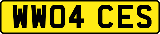 WW04CES