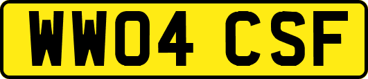 WW04CSF