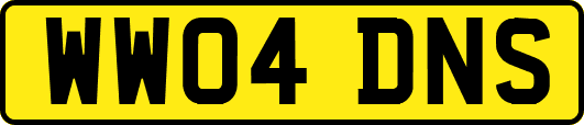 WW04DNS