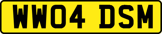 WW04DSM
