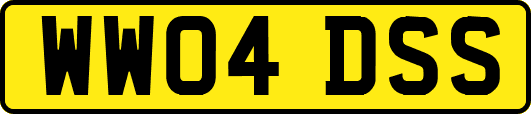 WW04DSS