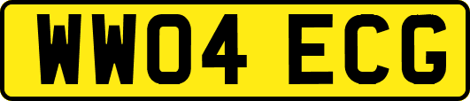 WW04ECG