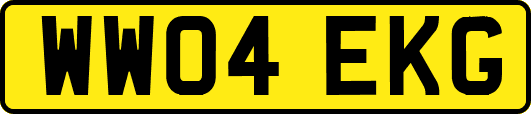 WW04EKG