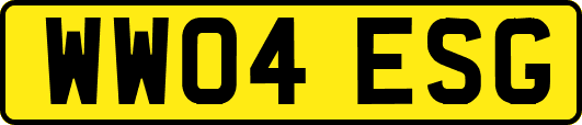 WW04ESG