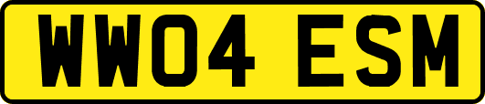 WW04ESM
