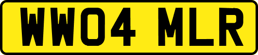 WW04MLR