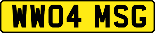 WW04MSG