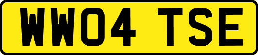 WW04TSE