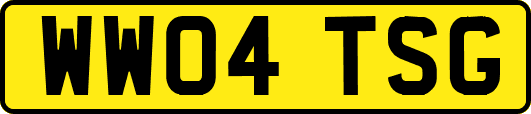 WW04TSG