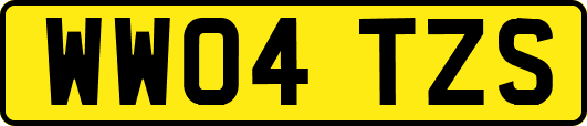 WW04TZS