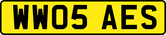 WW05AES