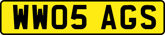 WW05AGS