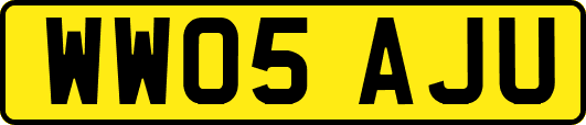 WW05AJU