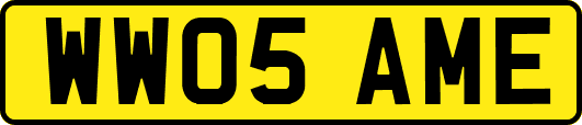 WW05AME