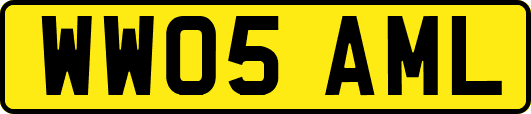 WW05AML