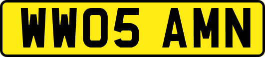 WW05AMN