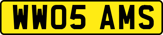 WW05AMS