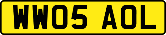 WW05AOL