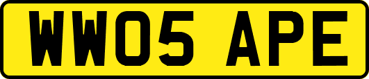 WW05APE