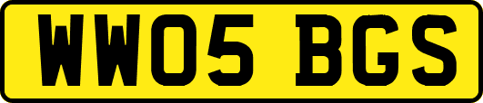 WW05BGS