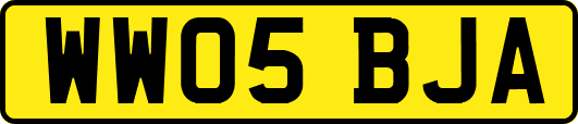 WW05BJA