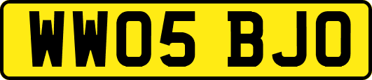 WW05BJO