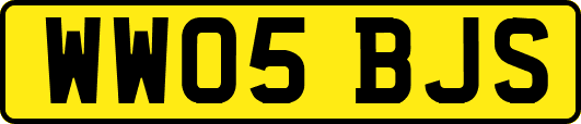 WW05BJS