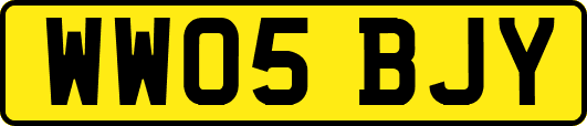 WW05BJY