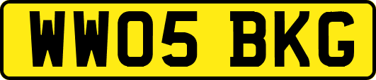 WW05BKG