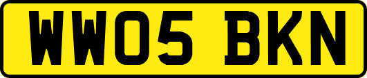 WW05BKN
