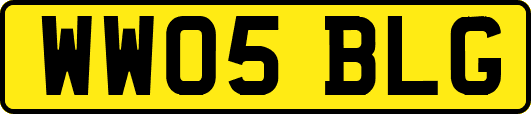WW05BLG