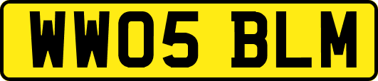 WW05BLM