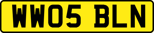 WW05BLN