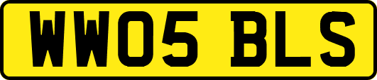 WW05BLS