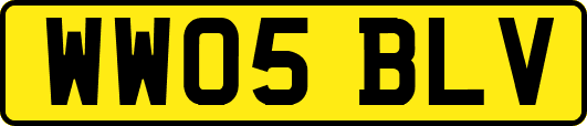 WW05BLV