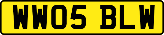 WW05BLW