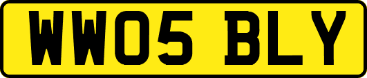WW05BLY